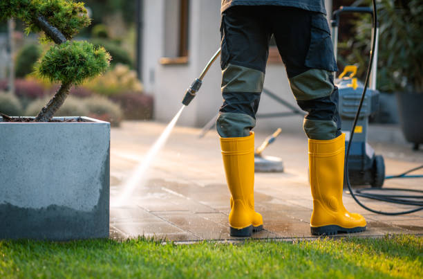 Roof Power Washing Services